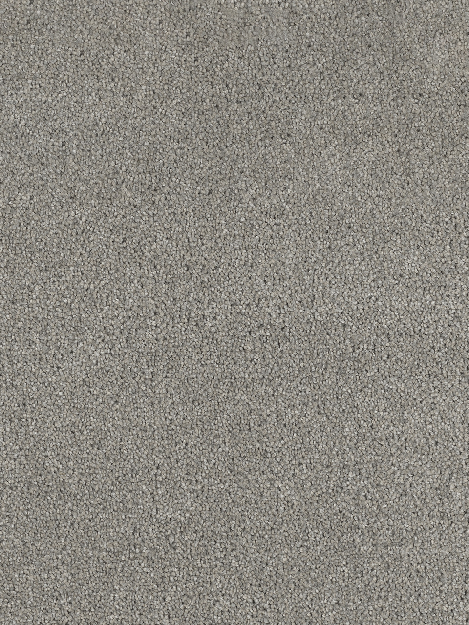 Dreamweaver Carpet Hollywood Embers Carpet 8232_933