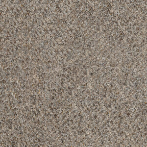 Dreamweaver Carpet Parade Silver Mist Carpet 8265_154