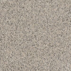 Dreamweaver Carpet Parade Daydream Carpet 8265_231