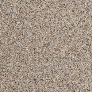Dreamweaver Carpet Parade Ivory Tower Carpet 8265_406
