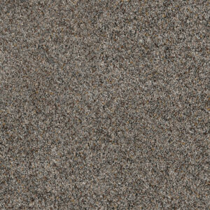 Dreamweaver Carpet Parade Mountain View Carpet 8265_627