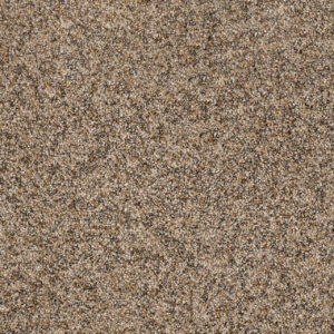 Dreamweaver Carpet Parade Nature Jewels Carpet 8265_772