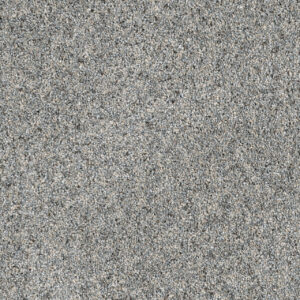 Dreamweaver Carpet Parade Nordic Mist Carpet 8265_837