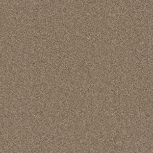 Dreamweaver Carpet Metropolitan II Straw Carpet 8400_551