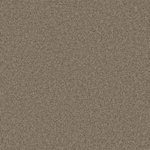 Dreamweaver Carpet Metropolitan II Mocha Carpet 8400_775