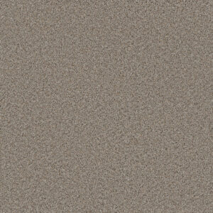 Dreamweaver Carpet Metropolitan II Iron Frost Carpet 8400_815