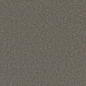 Dreamweaver Carpet Cosmopolitan II Horizons Carpet 8550_846
