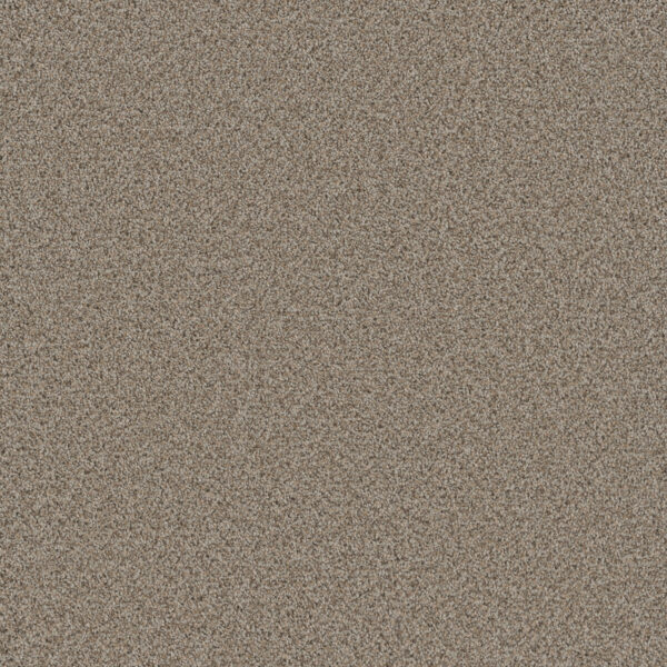 Dreamweaver Carpet Cosmopolitan II Stucco Carpet 8550_905