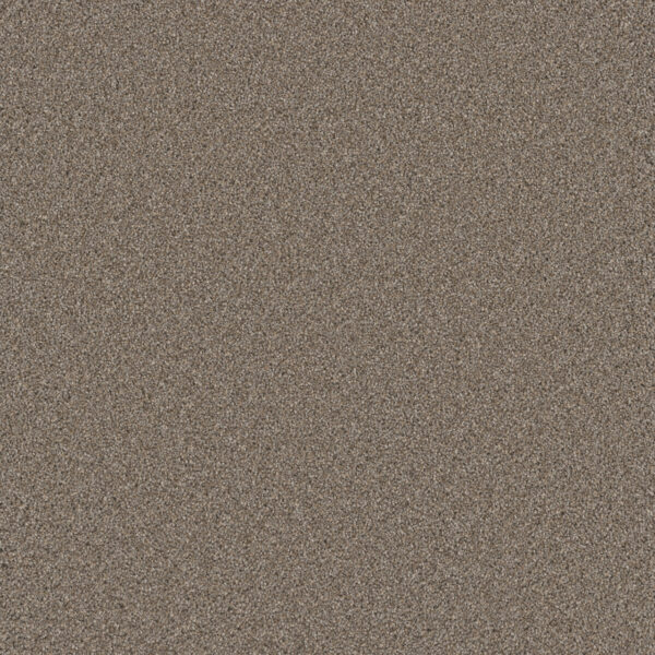 Dreamweaver Carpet Cosmopolitan II Ash Carpet 8550_945