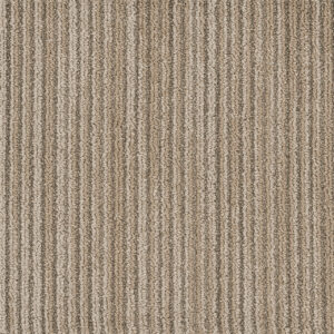 Dreamweaver Carpet DW Select Westminster Knightsbridge Carpet 8552_8100