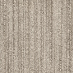 Dreamweaver Carpet DW Select Westminster Brookstone Carpet 8552_8250