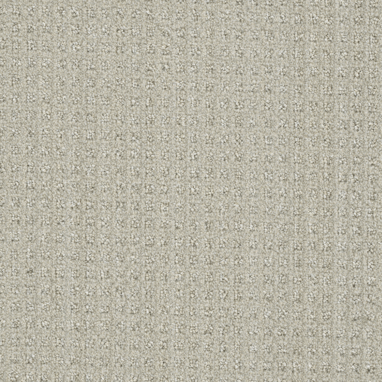 Shop Dreamweaver Carpet DW Select Dublin Merino Carpet 8631_2703