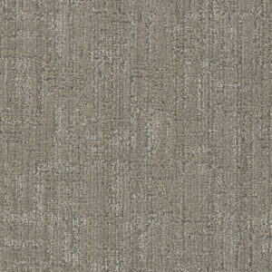Dreamweaver Carpet DW Select Century Time Marches On Carpet 8634_2716