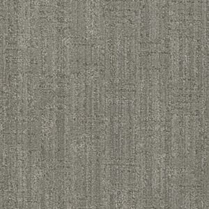 Dreamweaver Carpet DW Select Century In the Moment Carpet 8634_2740