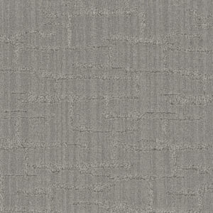 Dreamweaver Carpet DW Select Del Rey Tungsten Carpet 8736_3922