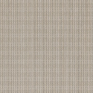 Dreamweaver Carpet Suffolk Ellis Carpet 8910_8049