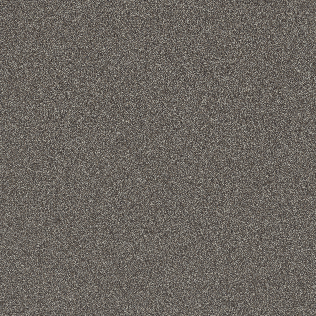 Dreamweaver Carpet All In II Briarcrest Carpet 9565_2038