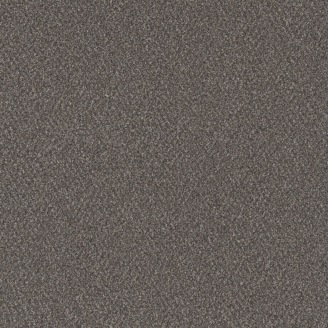 Dreamweaver Carpet All In I Kodiak Carpet 9555_2052