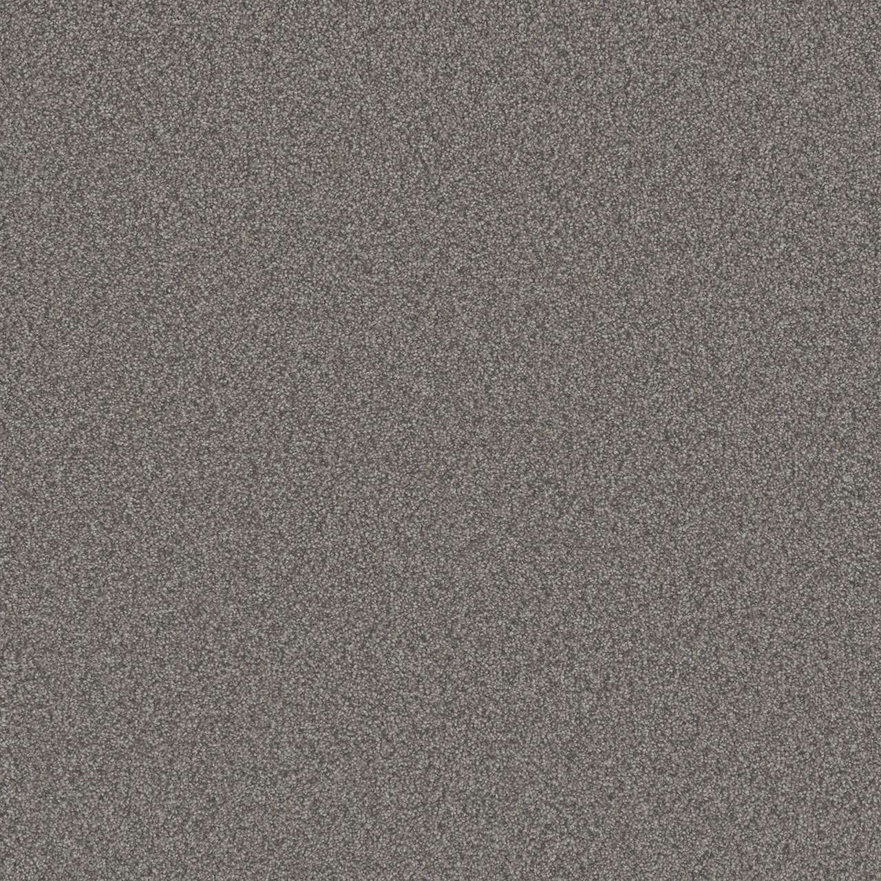 Dreamweaver Carpet All In II Cannon Falls Carpet 9565_2076