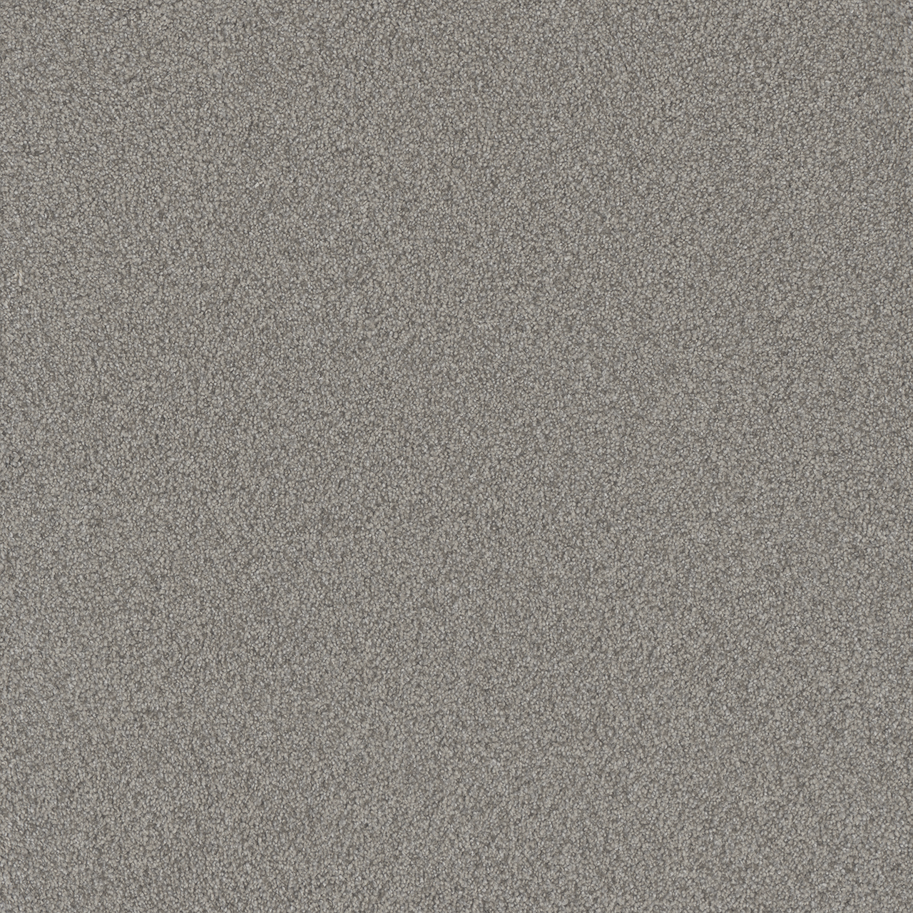 Dreamweaver Carpet All In II Castle Pines Carpet 9565_4050