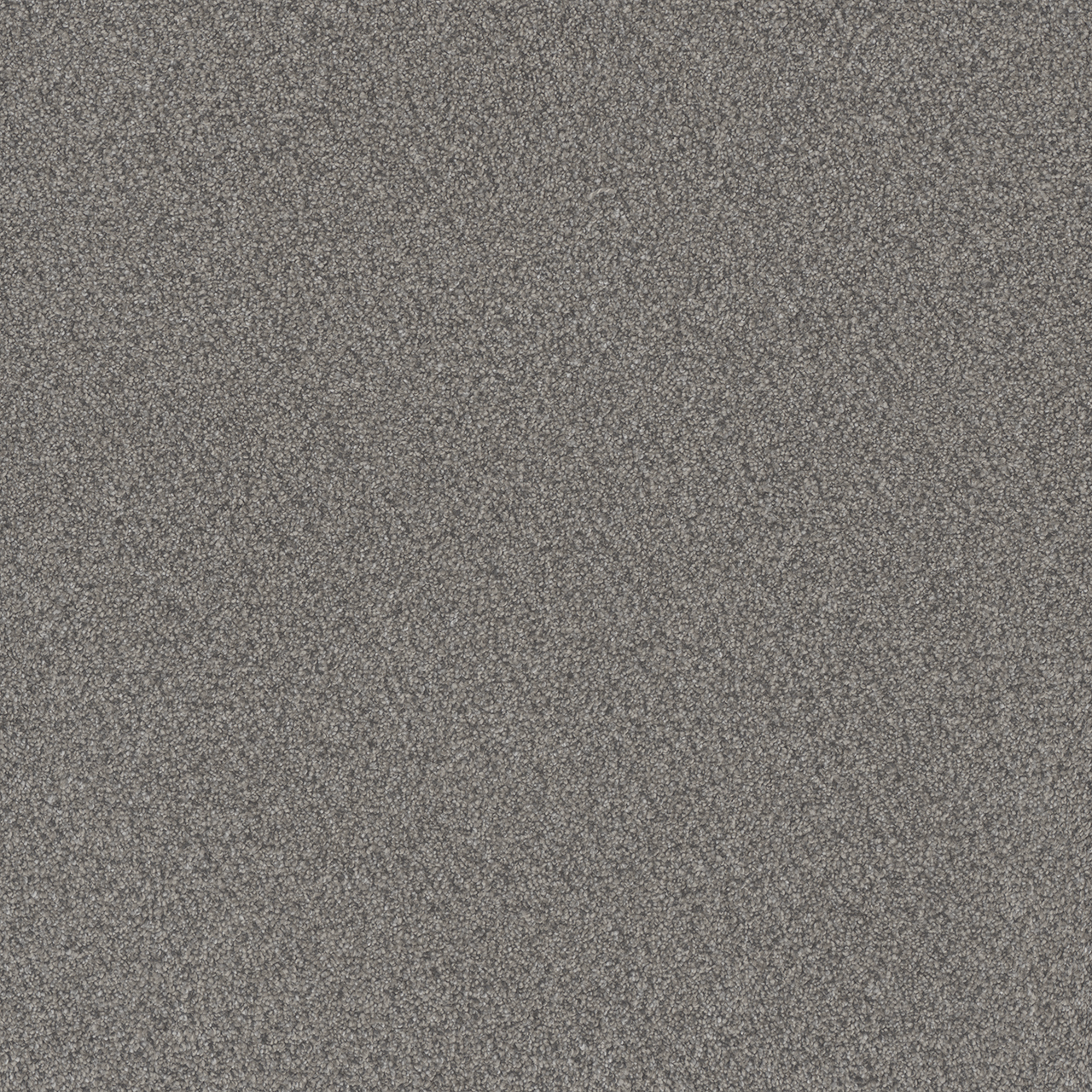 Dreamweaver Carpet All In II Winter Garden Carpet 9565_5153