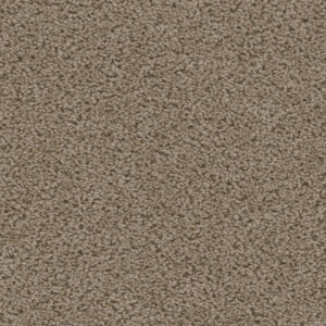 Dreamweaver Carpet Sweepstakes Doeskin Carpet 2200_530