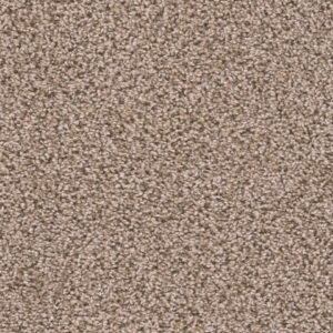 Dreamweaver Carpet Sweepstakes Claystone Carpet 2200_708