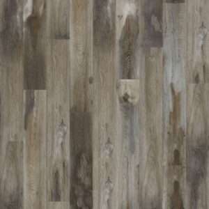 Mohawk SolidTech Select Explorer's Cove Raccoon 7"