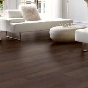 Shaw Floorte Elite Prodigy Hdr Mxl Plus