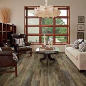 Shaw Floorte Pantheon Hd Plus