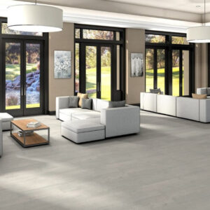 Shaw Mainstreet Commercial Purview 20