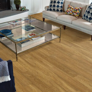 Shaw Mainstreet Commercial Sustain 20 Mil
