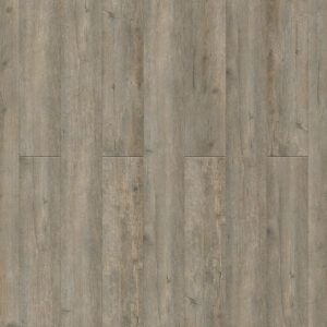 Dreamweaver Triumph LVP Flooring New Standard II Playa 6"