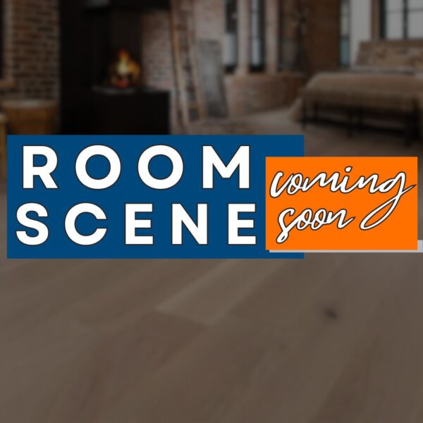 Room Scene Coming Soon