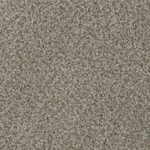 Dreamweaver Carpet Sp250 Carbon Crystals Carpet SP250_255