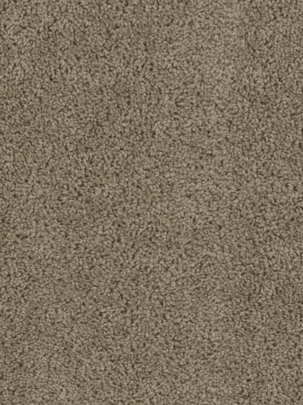 Dreamweaver Carpet Sp250 Honey Beige Carpet SP250_510