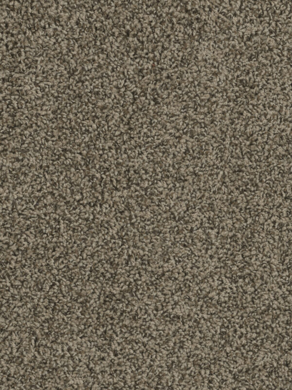Dreamweaver Carpet Sp250 Agate Carpet SP250_512