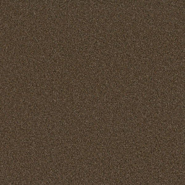 Dreamweaver Carpet Sp250 Boulder Carpet SP250_552