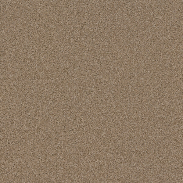 Dreamweaver Carpet Sp250 Sawgrass Carpet SP250_701