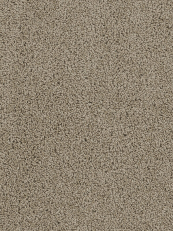 Dreamweaver Carpet Sp250 Sandstone Carpet SP250_715