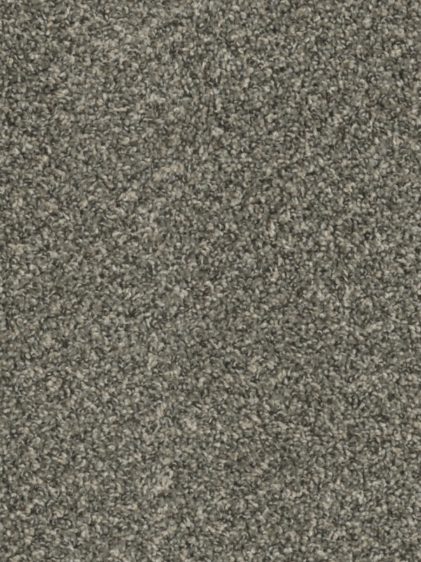 Dreamweaver Carpet Sp250 Ironside Carpet SP250_783
