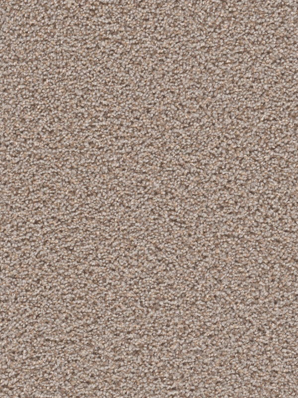 Dreamweaver Carpet Sp250 Azure Carpet SP250_803
