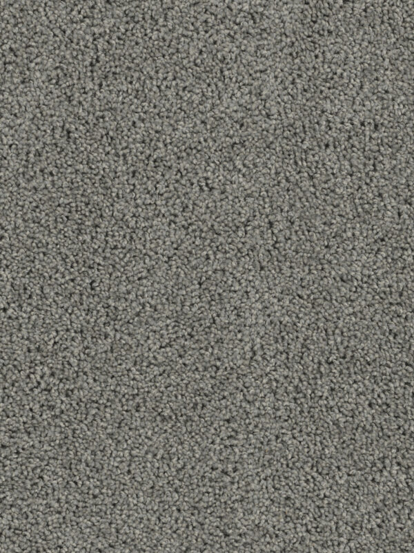 Dreamweaver Carpet Sp250 Bayside Carpet SP250_956