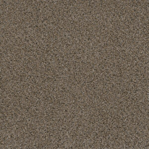 Dreamweaver Carpet Smart Squares Walk In The Park Copper Mine Carpet SQ107_314