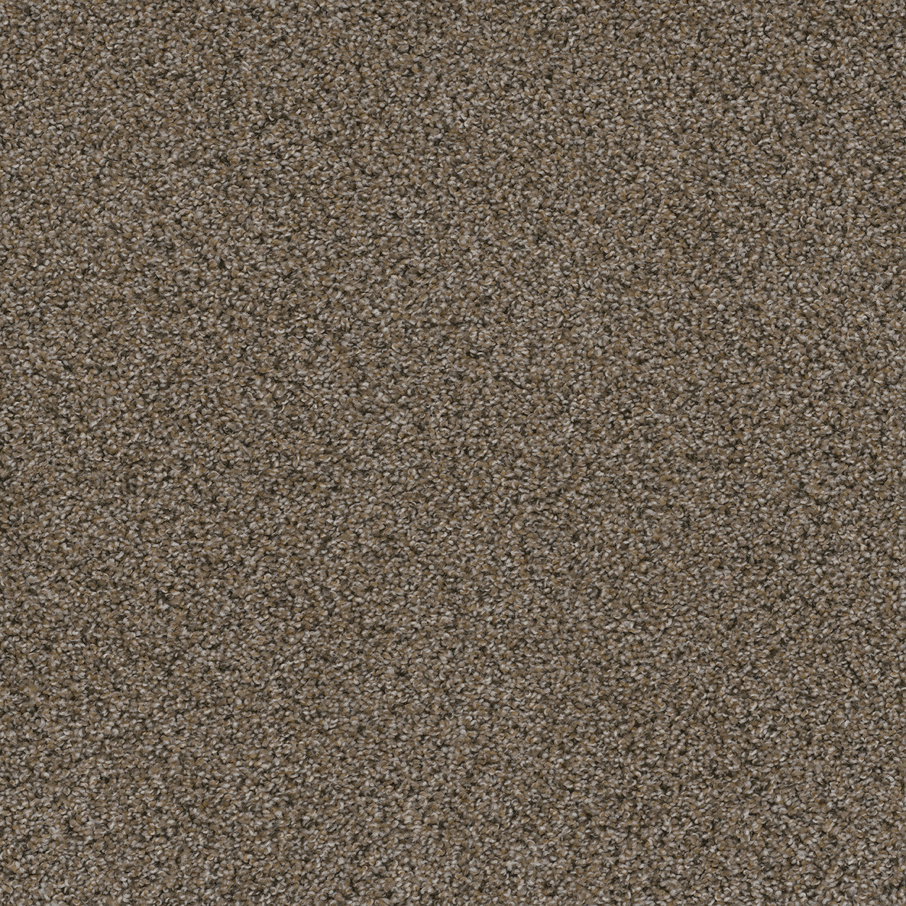 Dreamweaver Carpet Smart Squares Walk In The Park Copper Mine Carpet SQ107_314