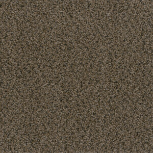 Dreamweaver Carpet In A Snap Rustic Charm Carpet SQ108_383