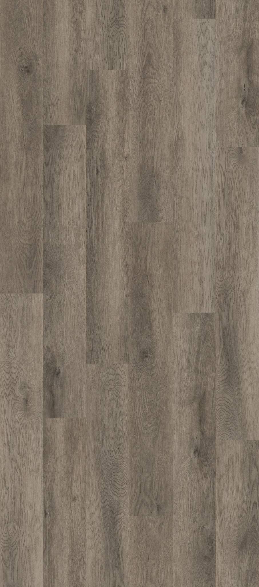COREtec Vinyl Pro Classics VV017 Elliptical Oak 02062_VV017 - Image 2