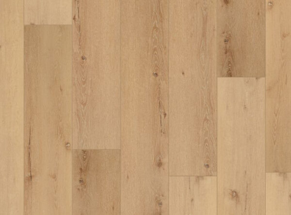 COREtec Pro Plus XL Enhanced Cairo Oak 9" VV491-02956
