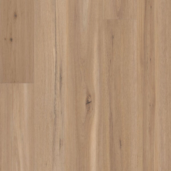 COREtec CT Premium Blonde Oak 9" VV810-05026