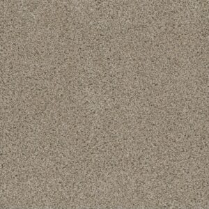 Dreamweaver Carpet Smart Squares Easy Street Oxford Carpet SQ105_720